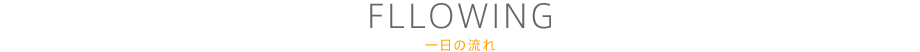 一日の流れ